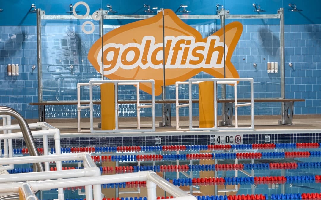 Goldfish Swim School –        Tacoma, WA